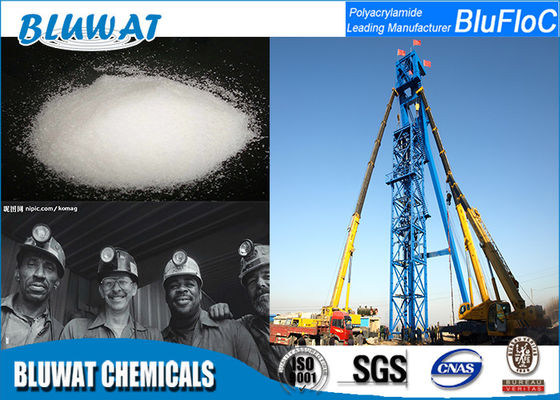주문 과립상 분말 드릴링 진흙 첨가물은 음이온 Polyacrylamide Flocculant를 가수분해했습니다 온라인 제품
