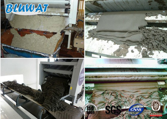 주문 슬러지 탈수 양이온성 폴리아크릴아미드 CPAM Blufloc SGS BV 인증 온라인 제품