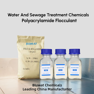 주문 Polyacrylamide PAM Polyelectrolyte Stp 플랜트에서 사용되는 물 및 하수 처리 화학물질 온라인 제품